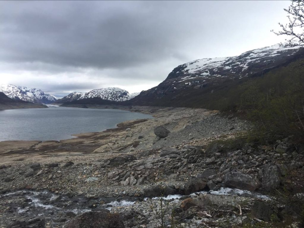 Uttalelse fra Røldal jordstyre 10. mai 1961