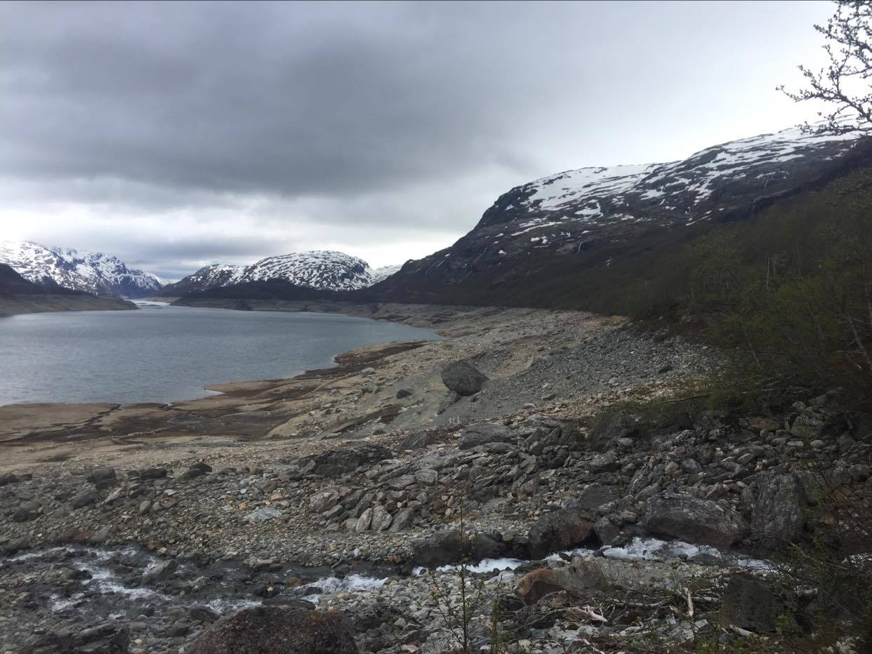 Uttalelse fra Røldal jordstyre 10. mai 1961