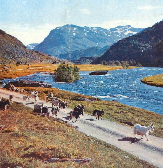 Røldal Suldal Kraft – selskapsfinte mot heimfallsrett