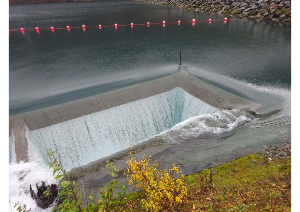 Innspel – Dok8 (Sondof Rabbe)