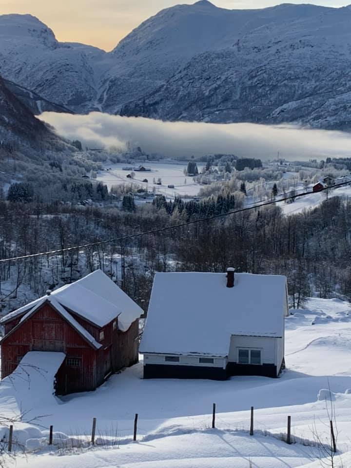 Frostrøyk i Røldal, januar 2021